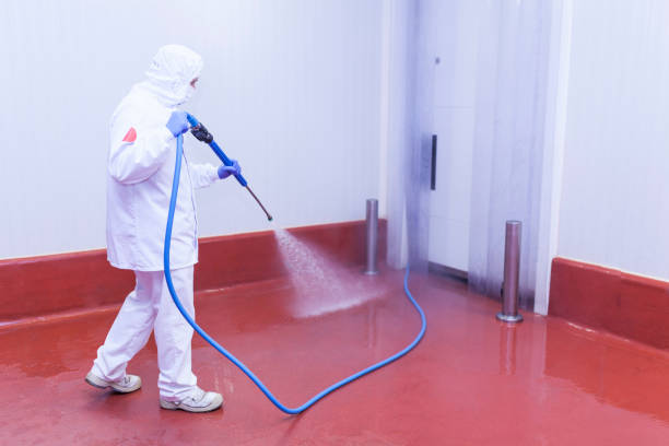 Best Factory Floor Cleaning  in Fulshear, TX